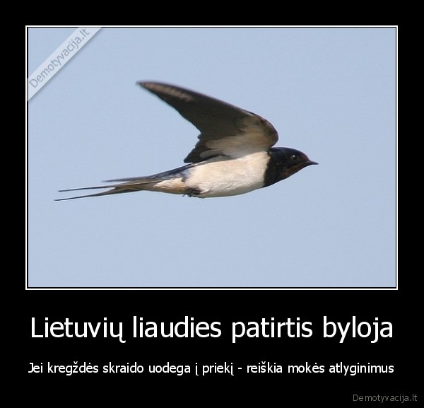 Lietuvių liaudies patirtis byloja