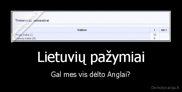 anglu, kalba,lietuviu, kalba,mokslai,mokykla,mokiniai,pazymiai