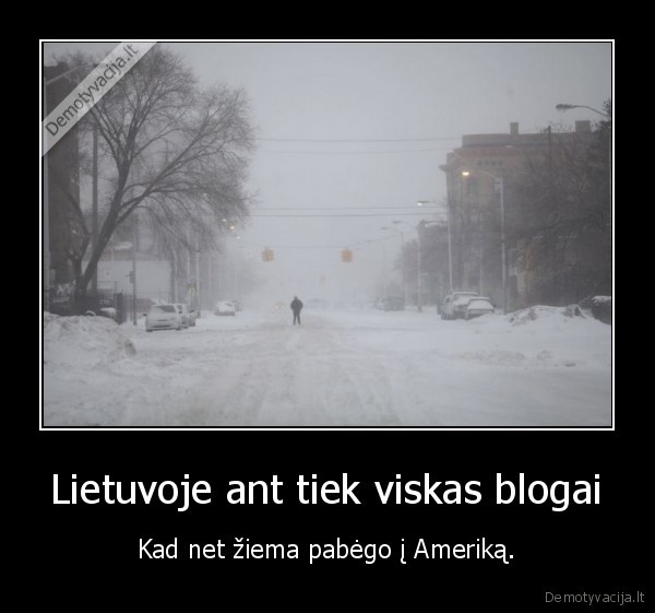 ziema,lietuva,sniegas,2014