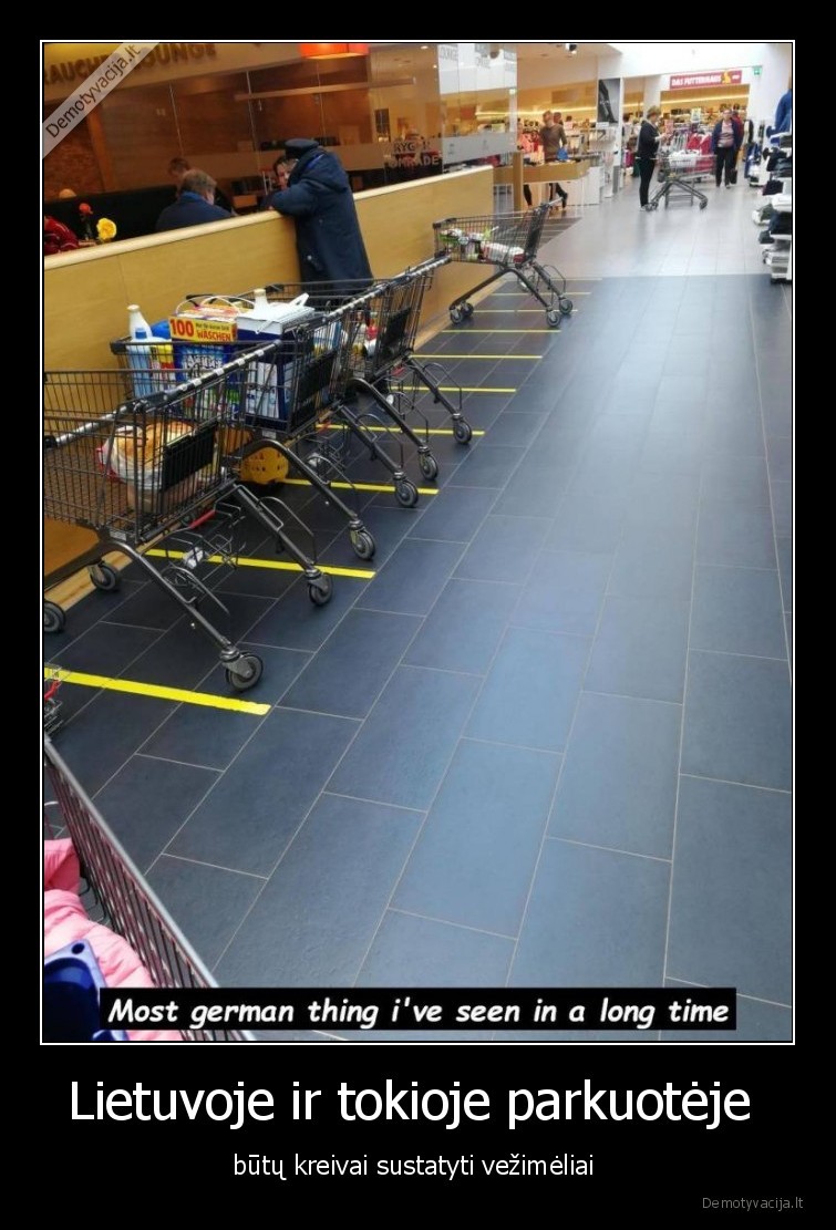 vezimeliai,kreivai,sustatyti