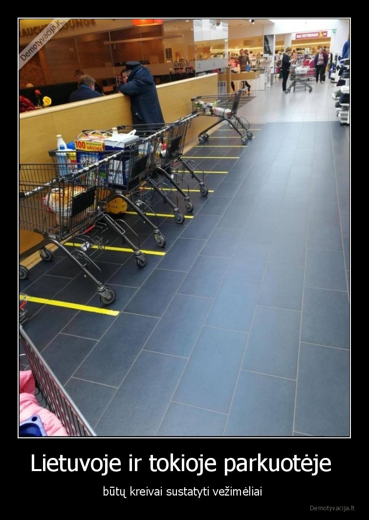 vezimeliai,kreivai,sustatyti