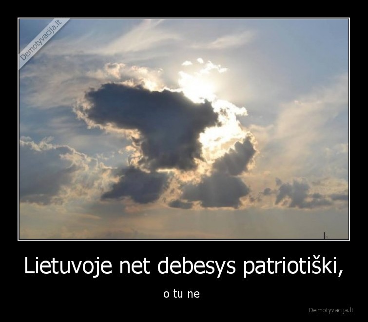 patriotai,patriotizmas,debesuota