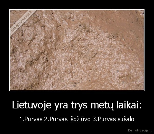 lietuva, purvas, metu, laikai
