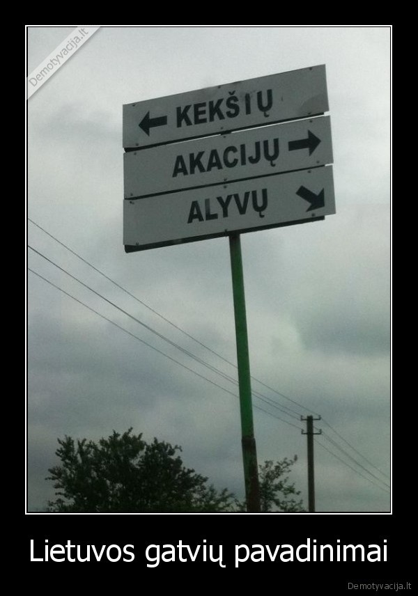 Lietuvos gatvių pavadinimai