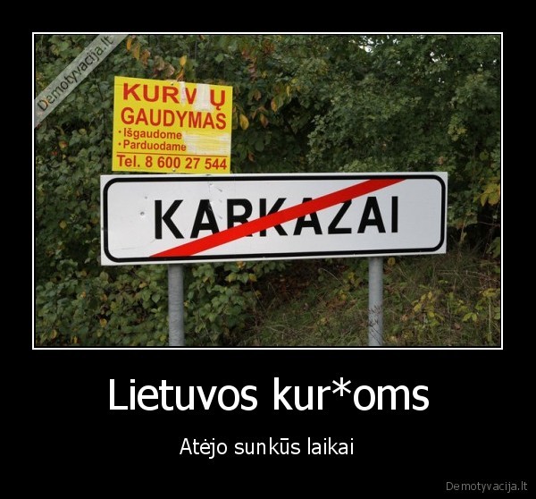 kurvu, gaudymas,kurmiu, gaudymas,skelbimas