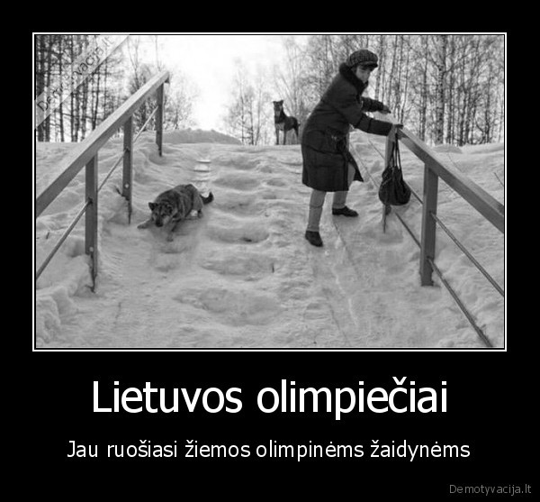 ziemos, olimpiada,socio, olimpines, zaidynes