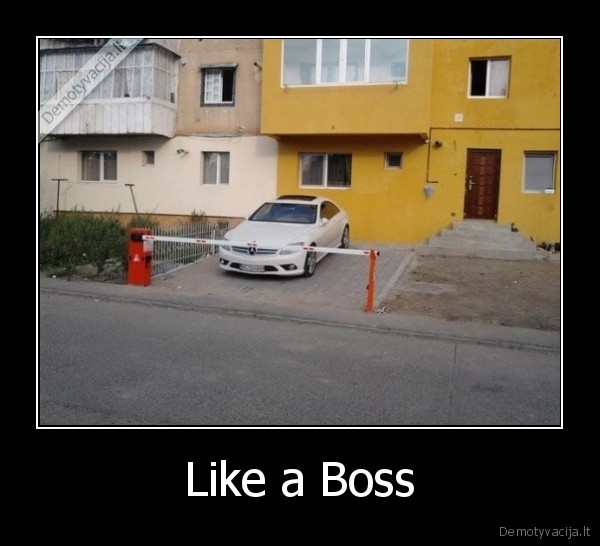 Like a Boss