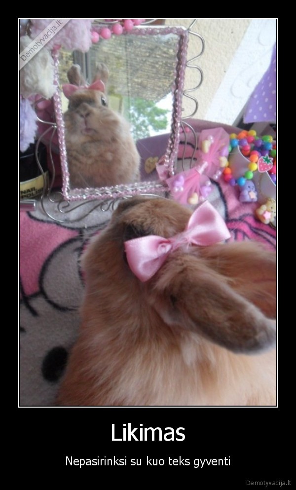 triusiai,likimas,gyvunai