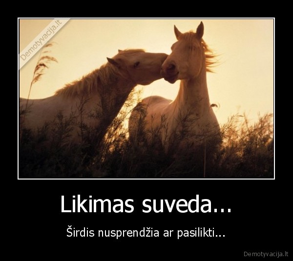 Likimas suveda...