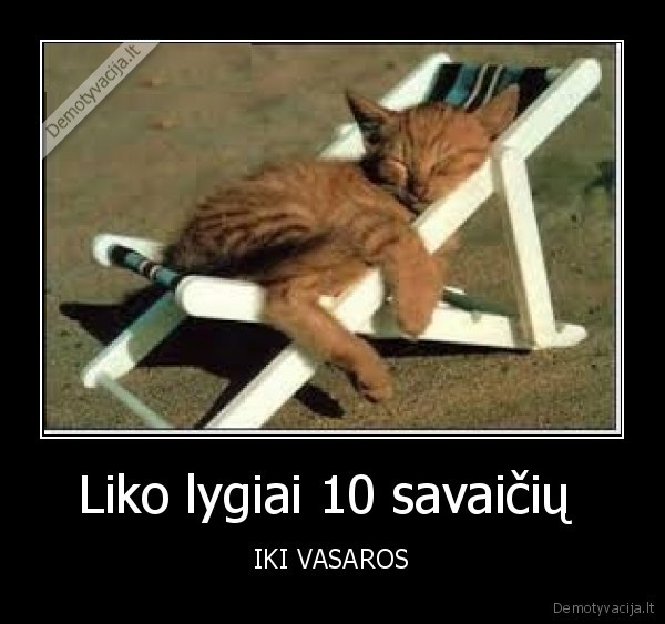 Liko lygiai 10 savaičių 