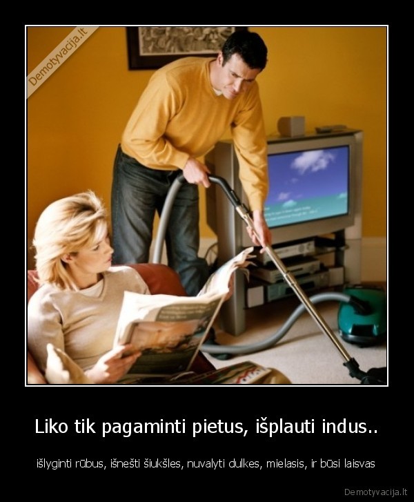 Liko tik pagaminti pietus, išplauti indus..