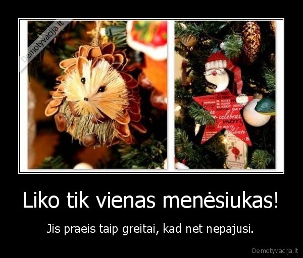 Liko tik vienas menėsiukas!