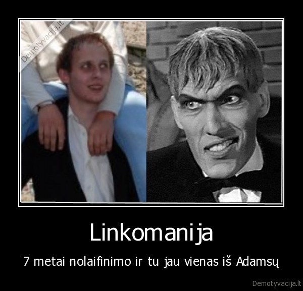 kestas, ermantas,gbit,linkomanija,savininkas