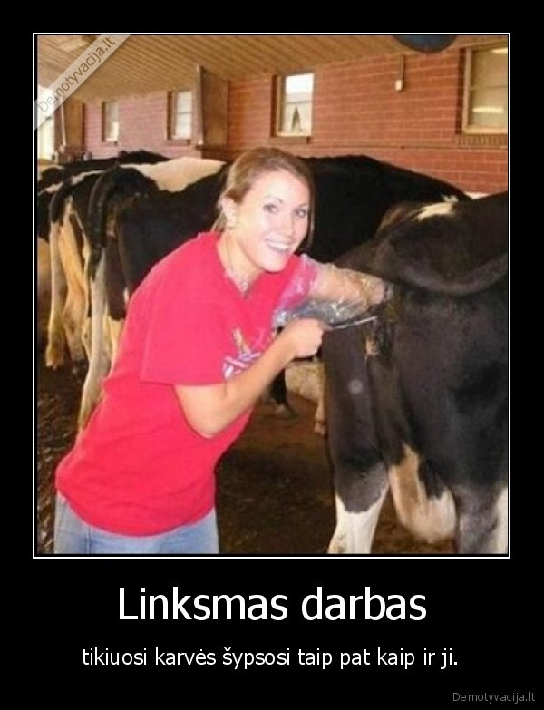 karves,ranka,karves, uzpakalis