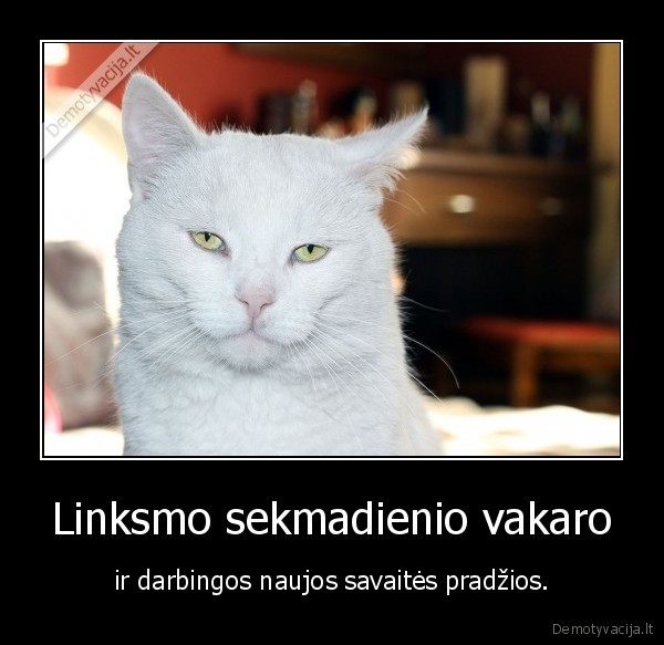 Linksmo sekmadienio vakaro