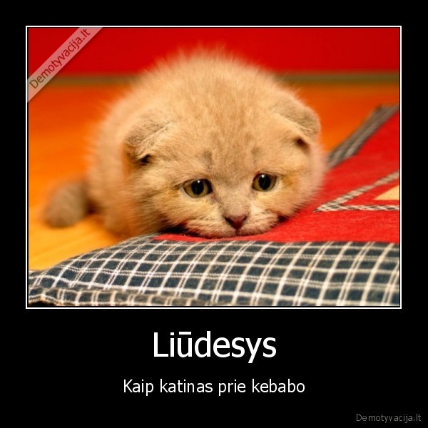 Liūdesys