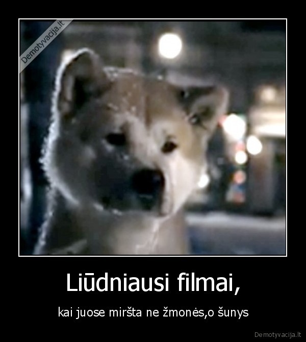 labiausiai, gaila, gyvunu