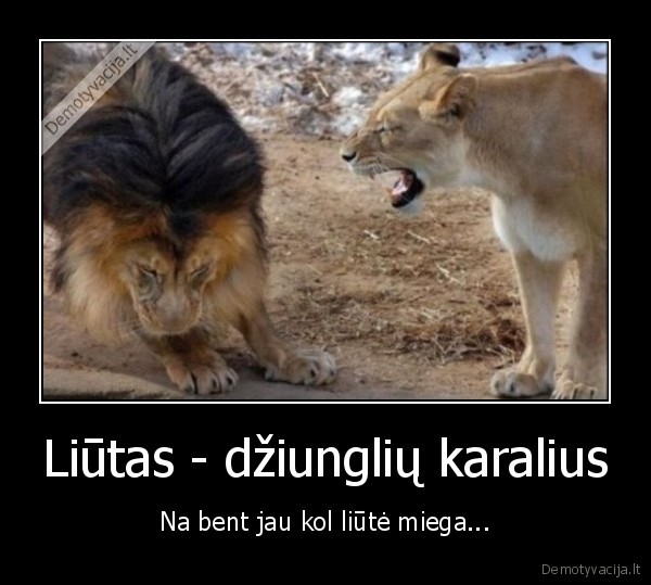 dziungliu, karalius,liute