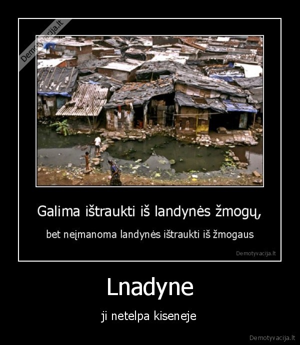Lnadyne