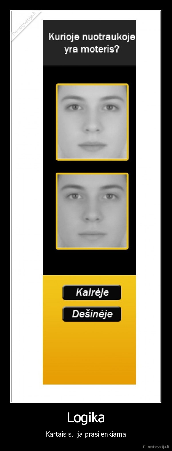 ner, logikos, nei, zymese