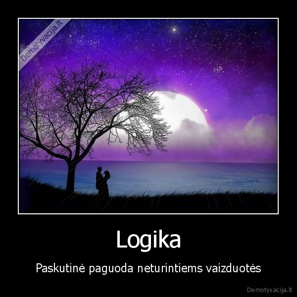 logika, vaizduote, zmogus, paguoda