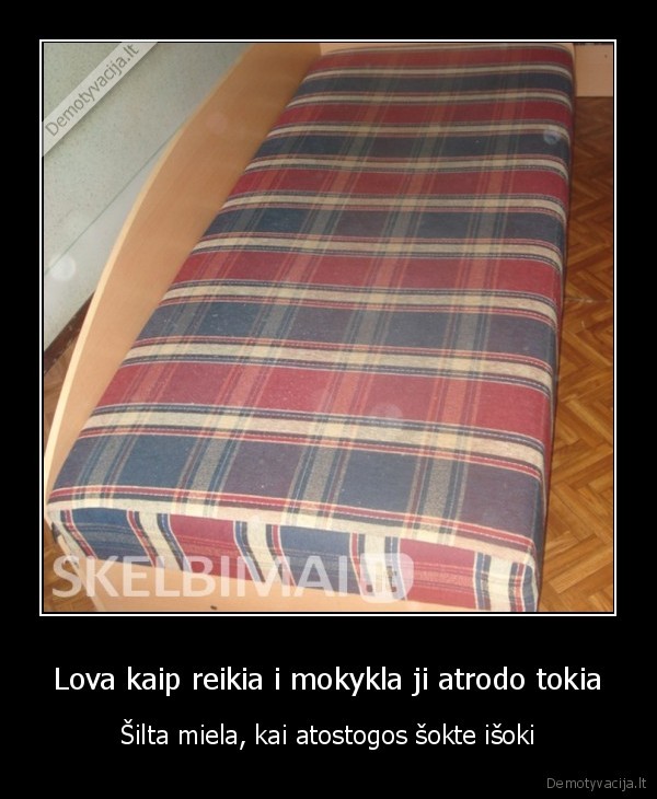Lova kaip reikia i mokykla ji atrodo tokia