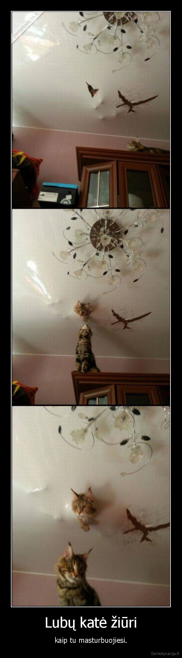 kate,katinas,lubos,masturbacija