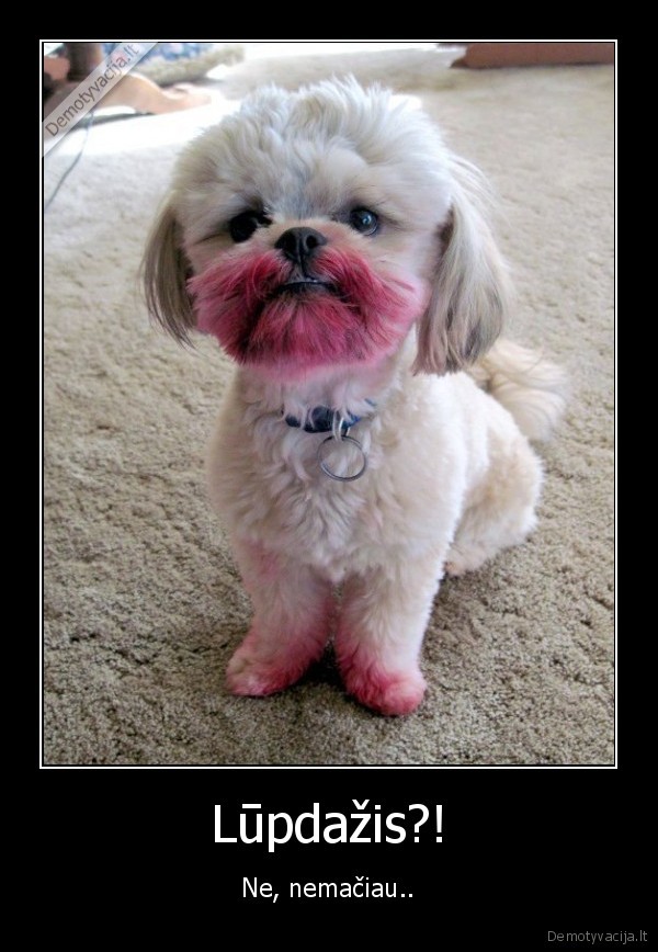 suo,lupdazis,kubilius