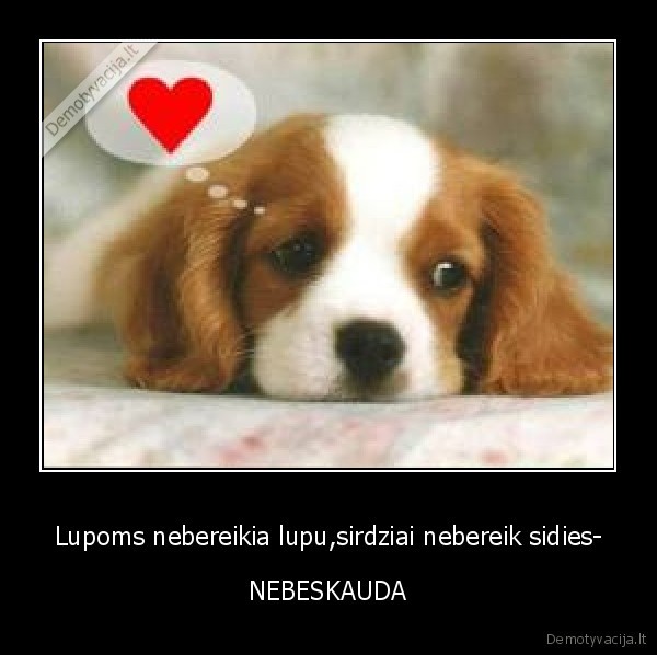 Lupoms nebereikia lupu,sirdziai nebereik sidies-