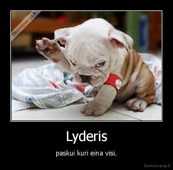 lyderis,gyvenimas,draugai