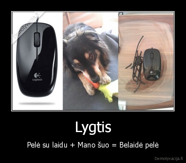 Lygtis