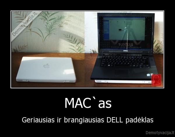 gykai,mac,macas,macas,pc,dell