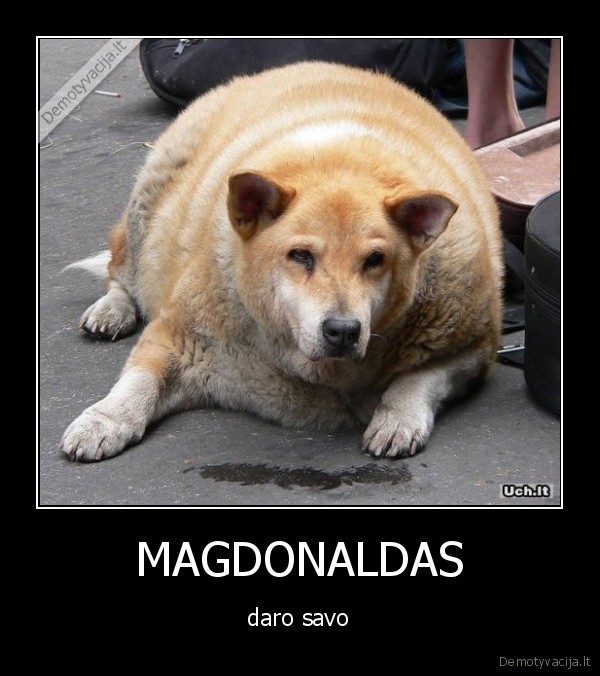 MAGDONALDAS