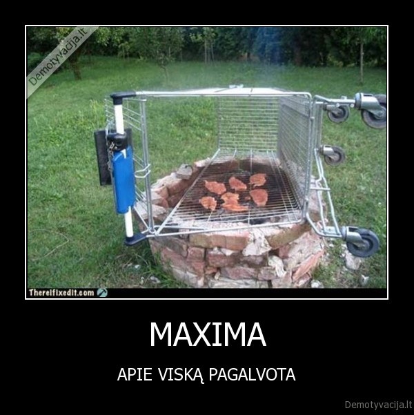 maxima, apie, viska, pagalvota