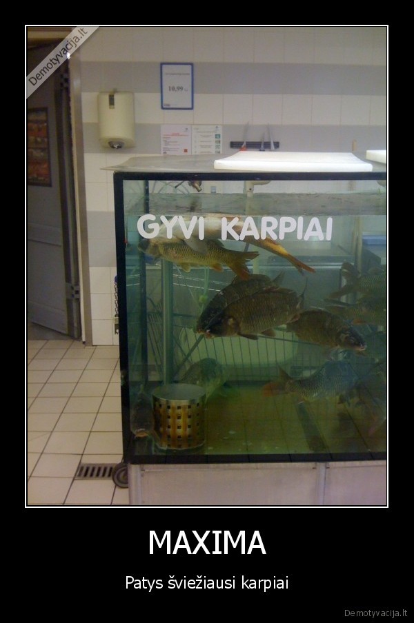 maxima,karpis,dugnine, meskere,karega,sliekas
