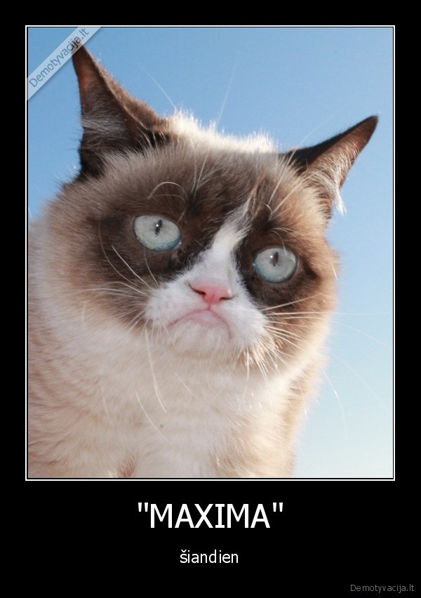 maxima,parduotuves,lidl