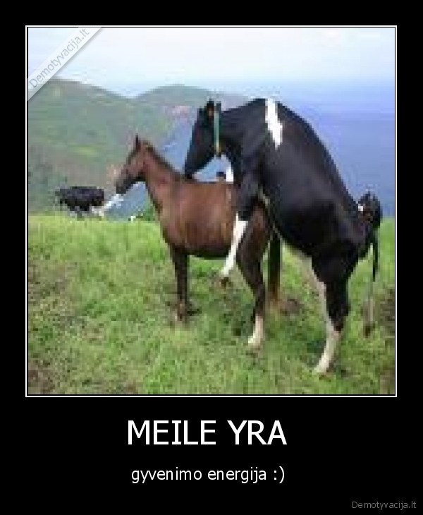 MEILE YRA 