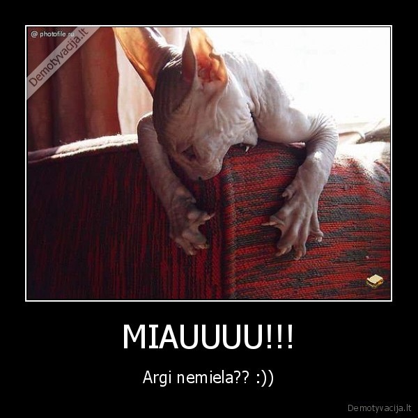 kate, sako, miau, o, ne, au