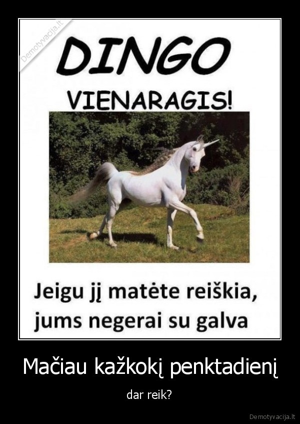 vienaragis,negerai,girtas