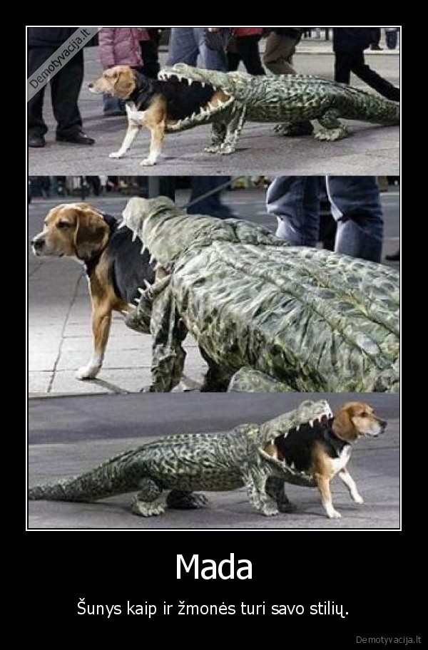 siurpias, pasakas, kubilius, seka, liaudziai, vakarais