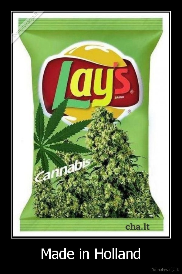 amsterdamas,ganja,dont, drink, and, drive, just, smoke, and, fly