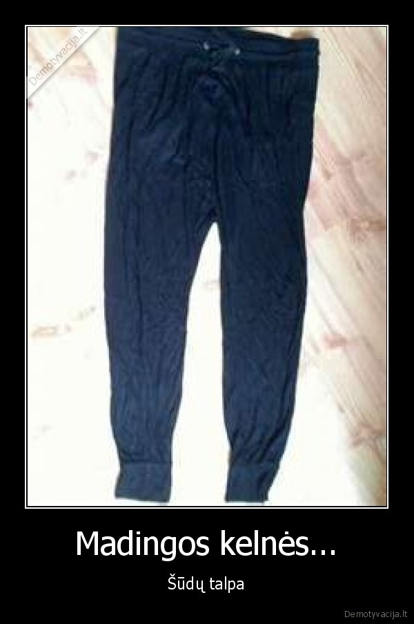 kelnes,placios,sudai,talpa,mada