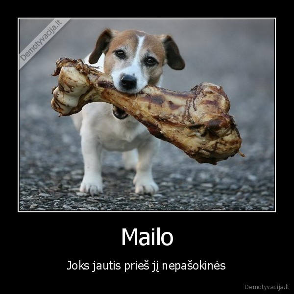 mailo,milo,mask,jautis,suo,suvalge,kaulas