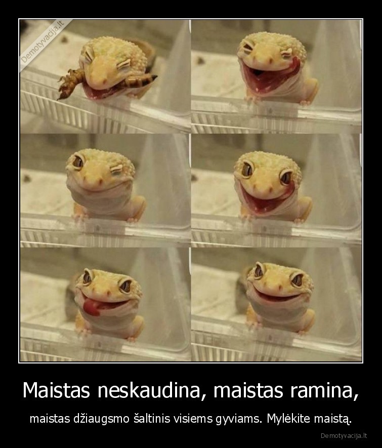 maistas,dziaugsmas,skanu