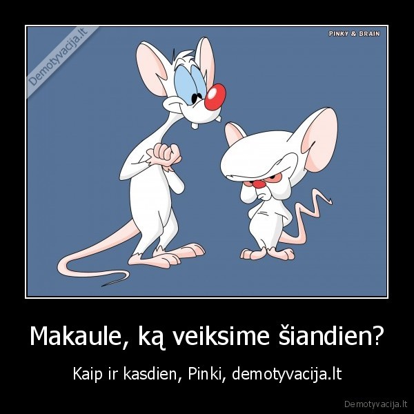 Makaule, ką veiksime šiandien?