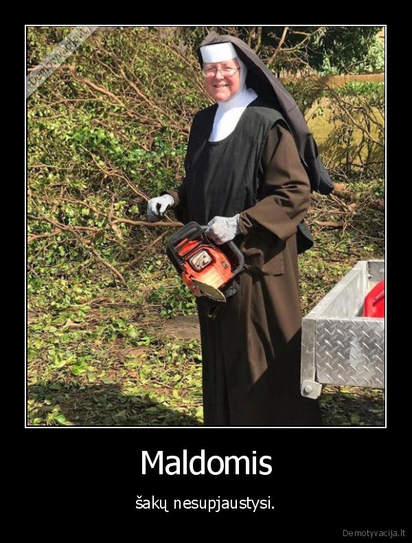 vienuole,malda,sakos