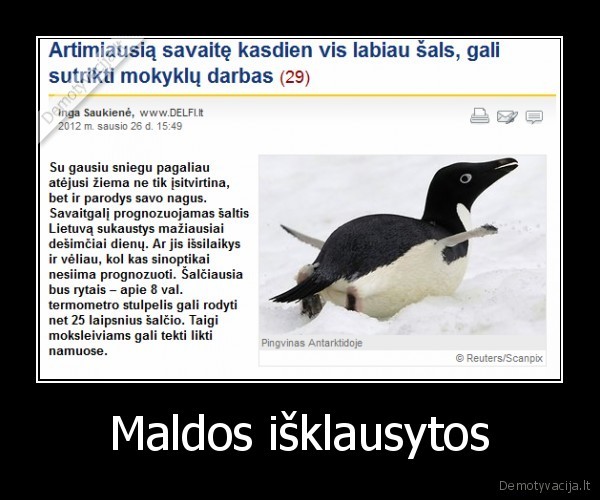 viltis,ne,tik,durniu,motina