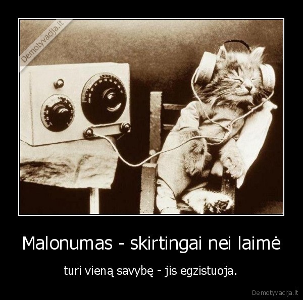 Malonumas - skirtingai nei laimė