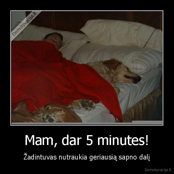 Mam, dar 5 minutes!