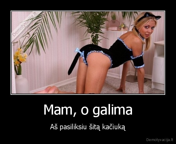 kaciukas,katyte,pasilikti